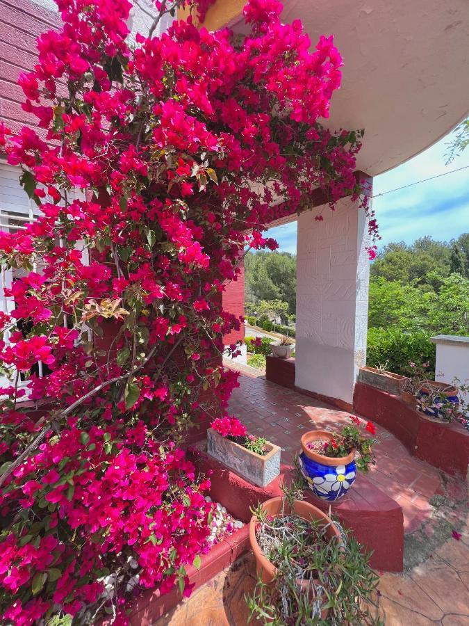 Famara Appartement Lloret de Mar
